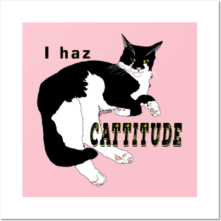 Cute Tuxedo Cat I haz attitude  Copyright TeAnne Posters and Art